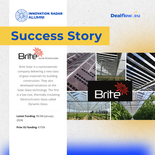 IR ALUMNI_Success Story_Brite Solar (1)