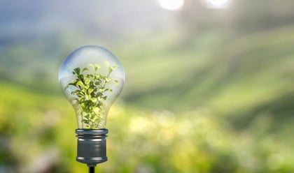Sustainable-980x580