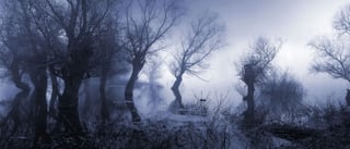 Winter is coming_fabrice grinda